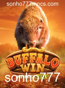 Explorando o Fascinante Mundo de BuffaloWin: Um Guia Completo